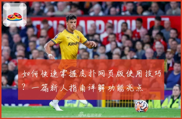 如何快速掌握虎扑网页版使用技巧？一篇新人指南详解功能亮点