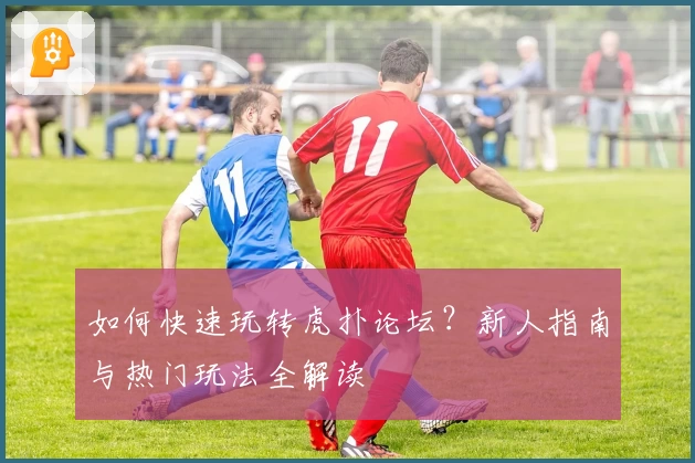 如何快速玩转虎扑论坛？新人指南与热门玩法全解读