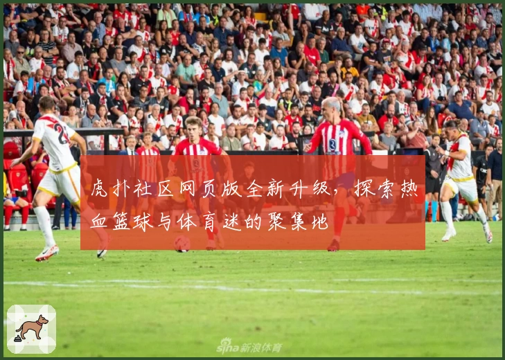 虎扑社区网页版全新升级，探索热血篮球与体育迷的聚集地