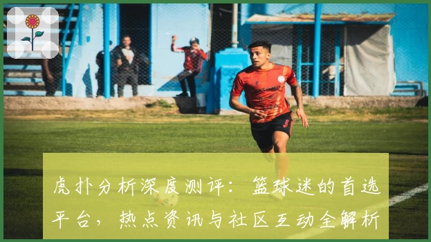 虎扑分析深度测评：篮球迷的首选平台，热点资讯与社区互动全解析