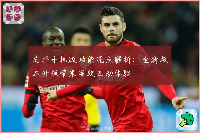 虎扑手机版功能亮点解析：全新版本升级带来高效互动体验